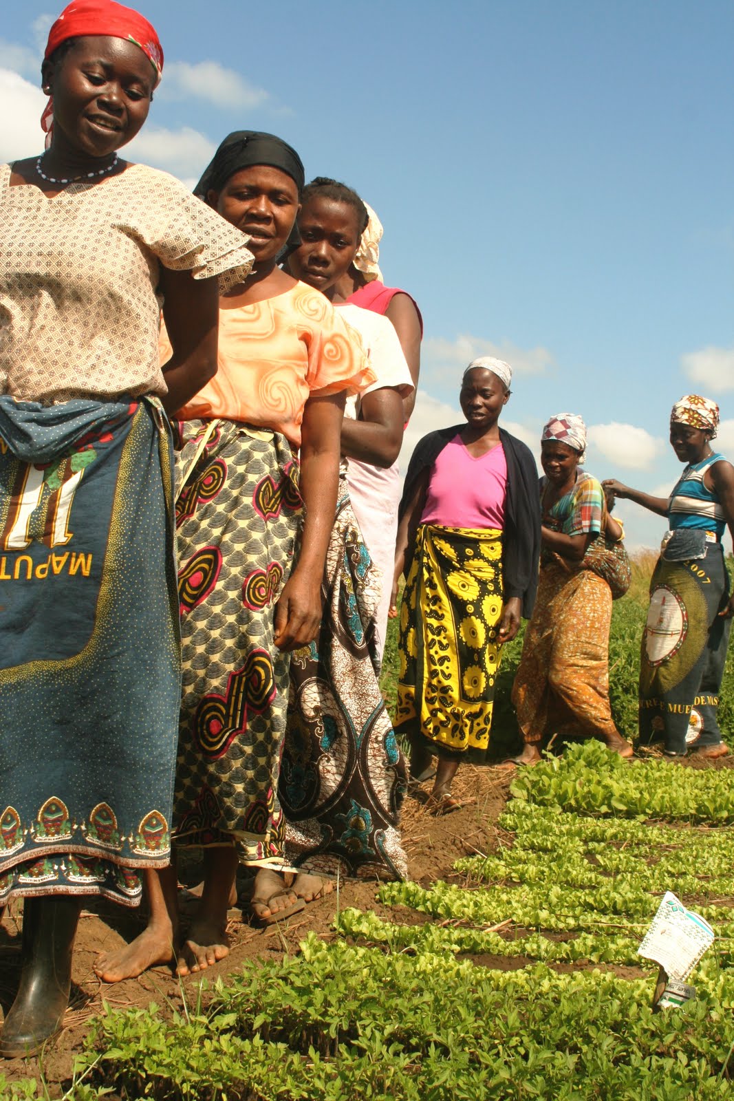 7f2e5-kukkaranta_hiv_mosambik2