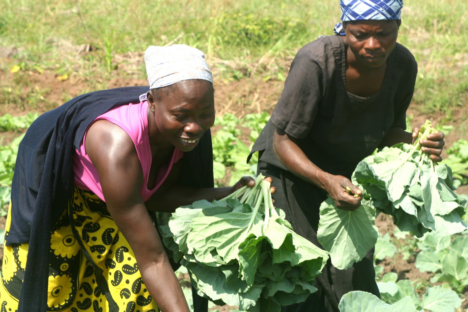 aa34c-kukkaranta_hiv_mosambik3