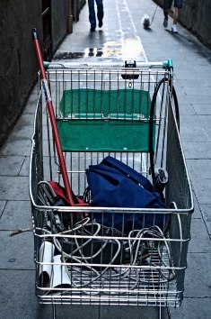 68fbc-kierrc3a4tyskamaaroskia_kevc3a4c3a4vc3a4_guineasta