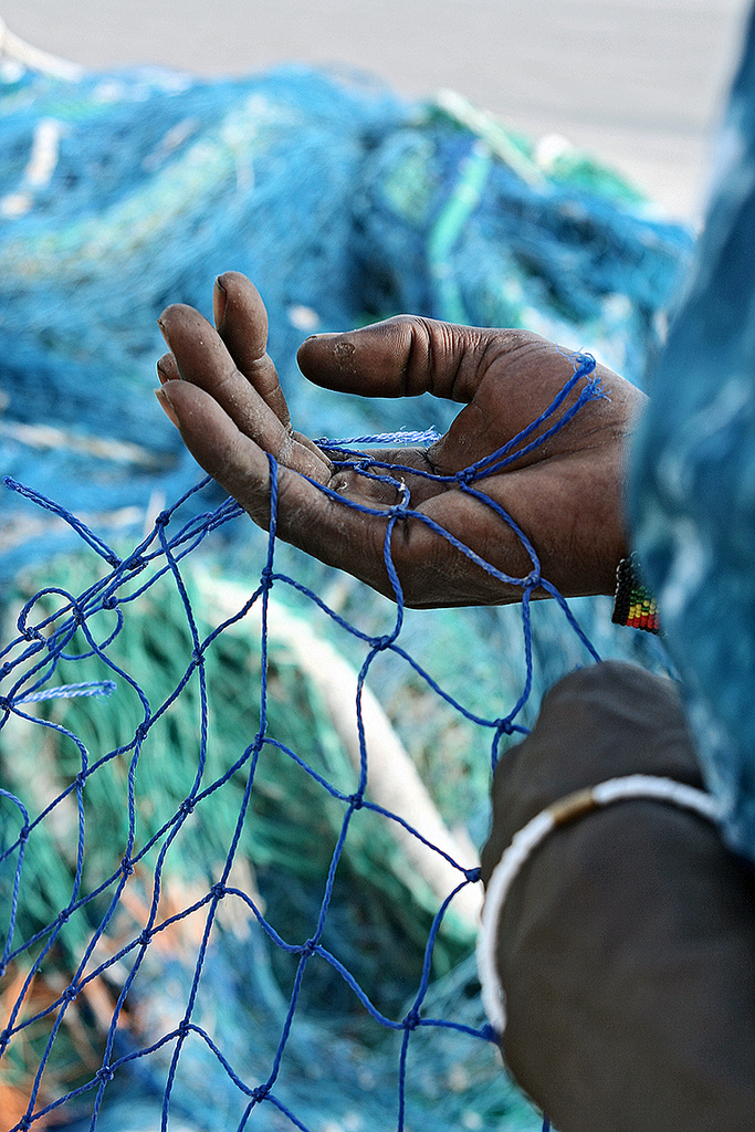 43c10-kalaverkkoja_kukkaranta