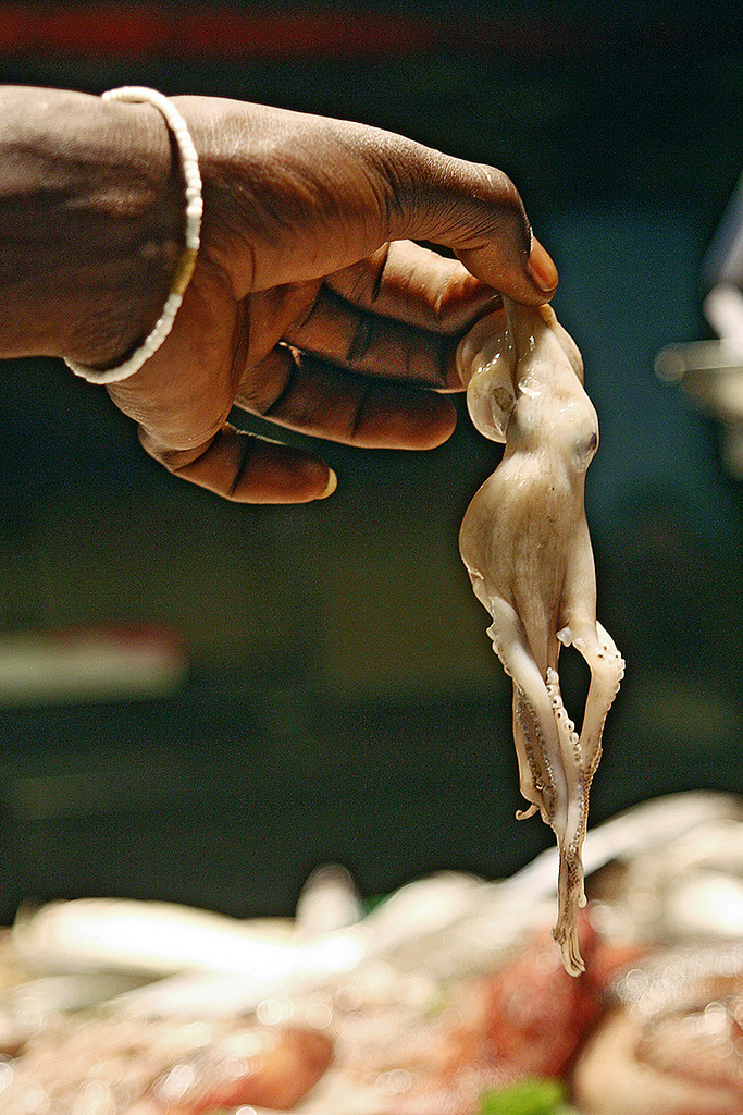 49f3a-barcelonan-kalamarketilla_kukkaranta