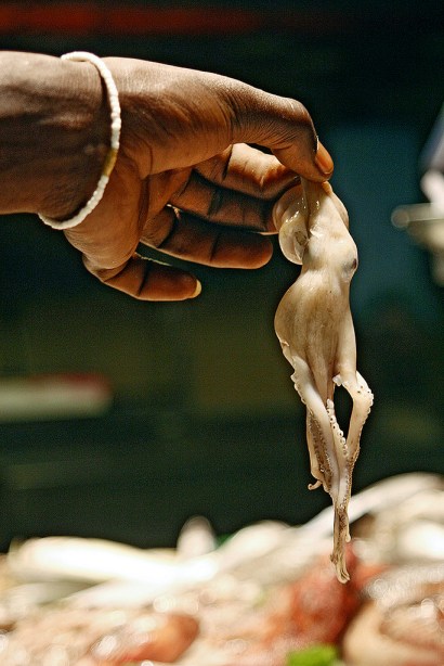 49f3a-barcelonan-kalamarketilla_kukkaranta