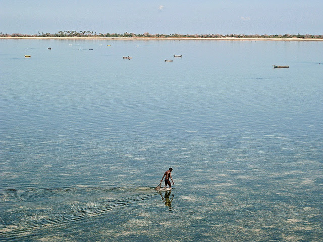 cfae5-rannikko-kalastaja-ei-pc3a4rjc3a4c3a4-kilpailussa_kukkaranta