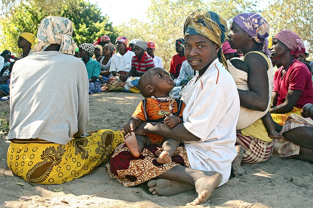 761e4-catine2-kukkaranta
