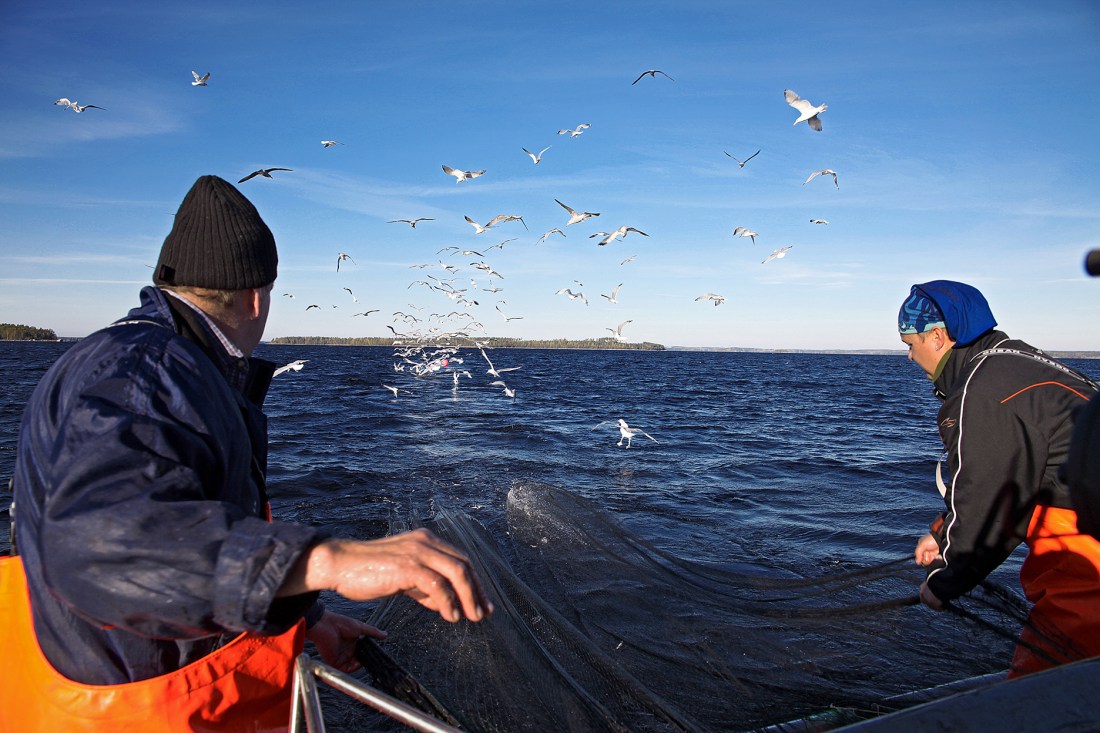 Etelä-Saimaa, lokakuu 2013.