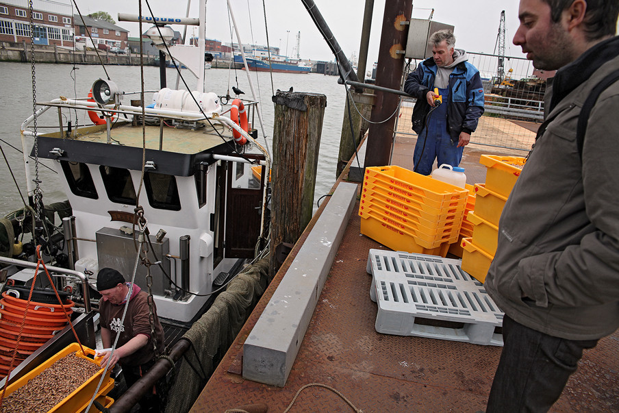 CitizenInspector-TrainingHamburg2015-PhotoKukkaRanta-TheBlackFish