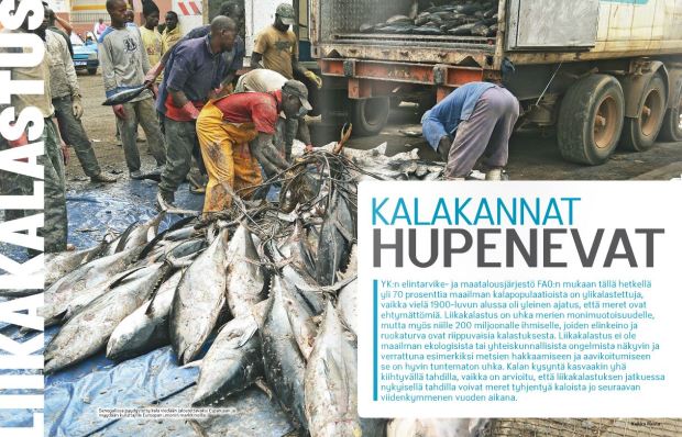 Globalisti-2016-2-kuvatKukkaRanta